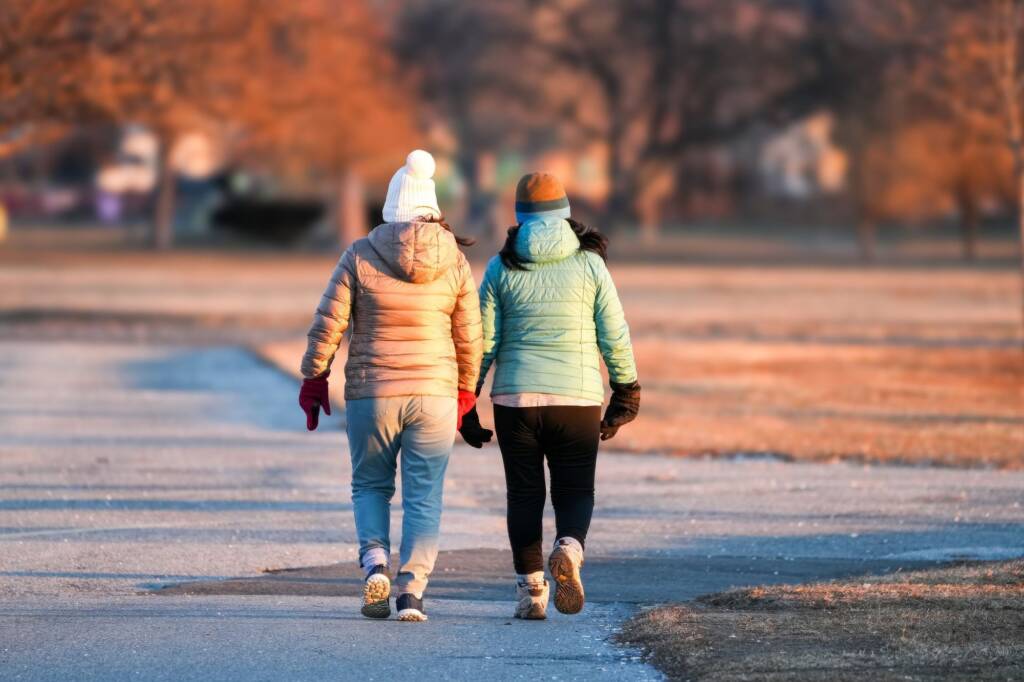 Two people in winter coats walking together along a park path, seen from behind