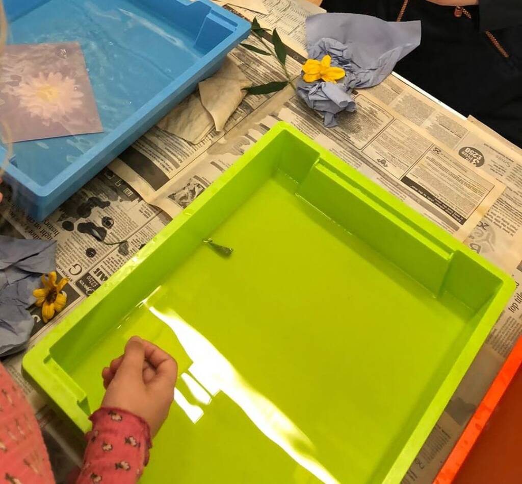 A sun print beside trays of water, flowers and leaves at a cyanotype workshop